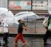 Personas se cubren de las lluvias causadas por el tifón Dujuan en Tokio, Japón.