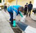 Labores de desratización en Urdesa Central