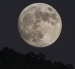 Referencial. Este sábado habrá Luna de la Cosecha.