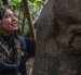 Farina Othman, conservacionista de elefantes de Borneo y fundadora de Seratu Aatai, susurrándole a una elefanta de Borneo tras una operación de colocación de collar GPS.