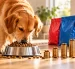 El precio del alimento para perros varía según la marca y la porción recomendada, lo que influye en el gasto diario de los hogares.