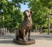 La escultura de Max rendirá homenaje al perro comunitario que se convirtió en un personaje querido de la Escuela Politécnica Nacional.