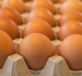 Comerciantes de Ambato y Cotopaxi reportaron una caída en las ventas y clientes que compran menos huevos tras el alza.