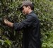Una cultura alrededor del café de especialidad