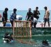 Buzos científicos descendiendo al mar estructuras para pastos marinos frente a la isla Kariyachalli, cerca de la costa de Thoothukudi, en el estado indio de Tamil Nadu.