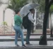 Las precipitaciones se presentarán en seis ciudades de la Costa, ocho sectores de la Sierra y cuatro localidades de la Amazonía.