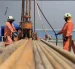 En total se realizaron 37 perforaciones para la toma de muestras de suelo.