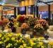 Expoflores advirtió que la informalidad abarca 1.200 hectáreas productivas y representa un riesgo para las exportaciones de flores ecuatorianas.