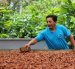 Una persona vigila el secado de cacao al sol.