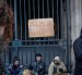 PARIS (Fran







































Manifestantes bloquean una entrada al Museo del Louvre para expresar su «apoyo» al movimiento de estudiantes de secundaria en París, Francia, el 19 de octubre de 2026, dos días después de que tuvieran lugar manifestaciones y disturbios en el marco de las protestas a escala nacional por el costo de la vida.