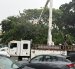 La caída de un árbol de gran tamaño afectó el tendido eléctrico en Lomas de Urdesa durante las lluvias de este lunes 19 de octubre.
