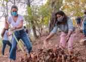 Un grupo de voluntarios de la Red de Zumar realizan trabajos en el Jardín Botánico.