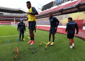 La selección ecuatoriana espera brilla en la Copa América.