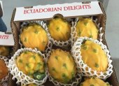 Ecuador publicita en feria sus frutas como la pitahaya.