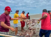 Trabajadores al pie del mar muestran la red dañada y llena de las jaibas.