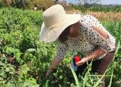Banco privado de Ecuador dará crédito para varios sectores como la agricultura.
