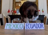 Momento exacto en el que Nimbus se acerca al recipiente de Ecuador y desata la euforia de sus seguidores
