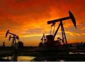 La OPEP estimula a la producción del petróleo.