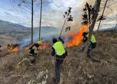 El déficit hídrico, las altas temperaturas y los fuertes vientos favorecen la propagación de los incendios forestales en Ambato. En los primeros nueve días de octubre se han registrado 25 emergencias de este tipo.