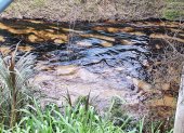 El crudo desciende por el río Cupa, en Quinindé, mientras avanzan los trabajos para contener la contaminación y evitar que se extienda a otros sectores.
