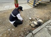 El caso se difundió en redes sociales de la alcaldesa.