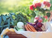Una alimentación saludable requiere, entre otras cosas, la ingesta de frutas y vegetales. Sin embargo, también es necesario saber de dónde vienen los alimentos.