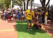 Desde el domingo 20 de octubre, los malecones permitirán el ingreso de las mascotas