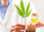 Varios estudios destacan el valor medicinal del aceite de cannabis.