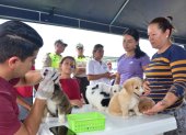 Los cachorros que nazcan en la maternidad serán dados en adopción.