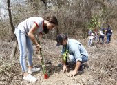 Más de 300 personas sembraron una variedad de especies de árboles nativos.