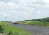 La fumigación contra la sigatoka negra es aérea