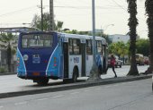 Una pasajera llegó hasta el parterre para tomar el bus.