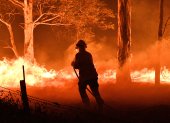 NOWRA. Un bombero intenta aplacar el fuego que consume los árboles de un bosque cercano a una zona poblada de esta ciudad del estado australiano de Nueva Gales del Sur.