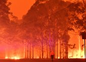 Los incendios han arrasado una superficie de más de 8 millones de hectáreas, equivalente a la de Irlanda.