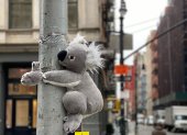 Los peluches se encuentran ubicados en distintos puntos de las avenidas principales de Nueva York.