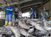 Ecuador es el segundo mayor exportador de atún por volumen.