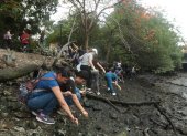 Estudiantes de diferentes universidades plantaron mangles en las riveras del estero Salado.