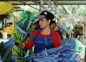 Preocupan las ventas a mercados tradicionales.