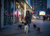 PEKÍN. Una mujer saca a pasear a sus perros. La OMS extiende una aclaración acerca de la propagación del virus relacionado con las mascotas.