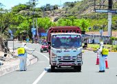 Los camiones son sometidos a constantes controles. Algunos choferes tienen inconvenientes en continuar, aún teniendo salvoconductos.
