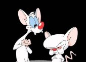 Se espera que Pinky y Cerebro se estrene el 24 de septiembre por medio de la plataforma Hulu.