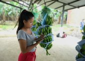En los dos primeros meses de 2020 el banano despuntó.