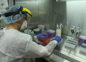 El Laboratorio de Biomedicina de la Espol también realiza pruebas de diagnóstico del nuevo coronavirus.