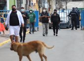 Los ciudadanos toman precauciones al momento de salir a hacer sus compras.