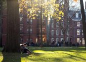 Una estudiante lee bajo un árbol en el campus de la universidad de Harvard en Cambridge.
