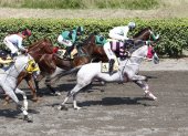 Albina (caballo blanco) se quedó con el Clásico de la jornada en el hipódromo Miguel Salem Dibo.