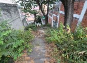 Situación. Las escalinatas de la calle Guayacanes lucen con maleza y presentan desaseo.