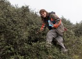 Katya Romoleroux en una investigación de campo en un bosque de la especie Polylepis, un tipo de arbusto de la zona alta andina del Ecuador.