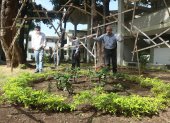 En la facultad de Arquitectura se están sembrando plantas en cuatro jardineras, para remediar el daño causado por la tala de árboles.