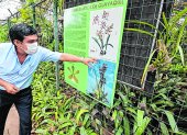 Flora. Boris Briones, director técnico del Jardín, muestra la orquídea que representa a Guayaquil.
